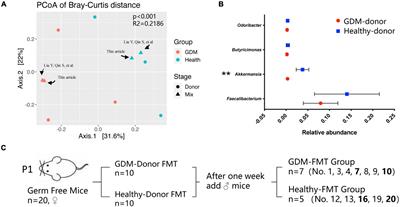 Gut microbiota in women with gestational diabetes mellitus has potential impact on metabolism in pregnant mice and their offspring